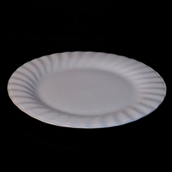 28cm / 11" Patterned Edge Round Plate (Vitrified)