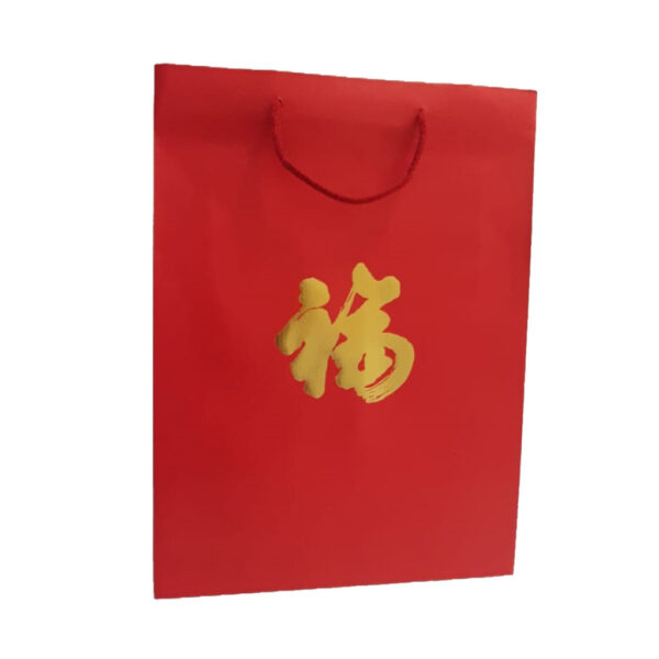 Paper Gift Bag - Medium