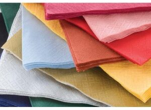 Plain Coloured Napkin 2 ply (2000pcs)