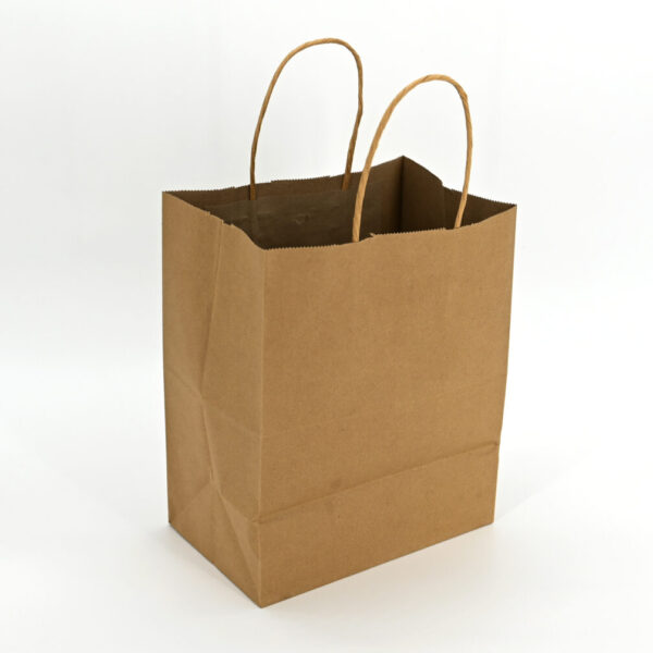 Brown Kraft Paper Bags with Twisted Handles (S) (200pcs)