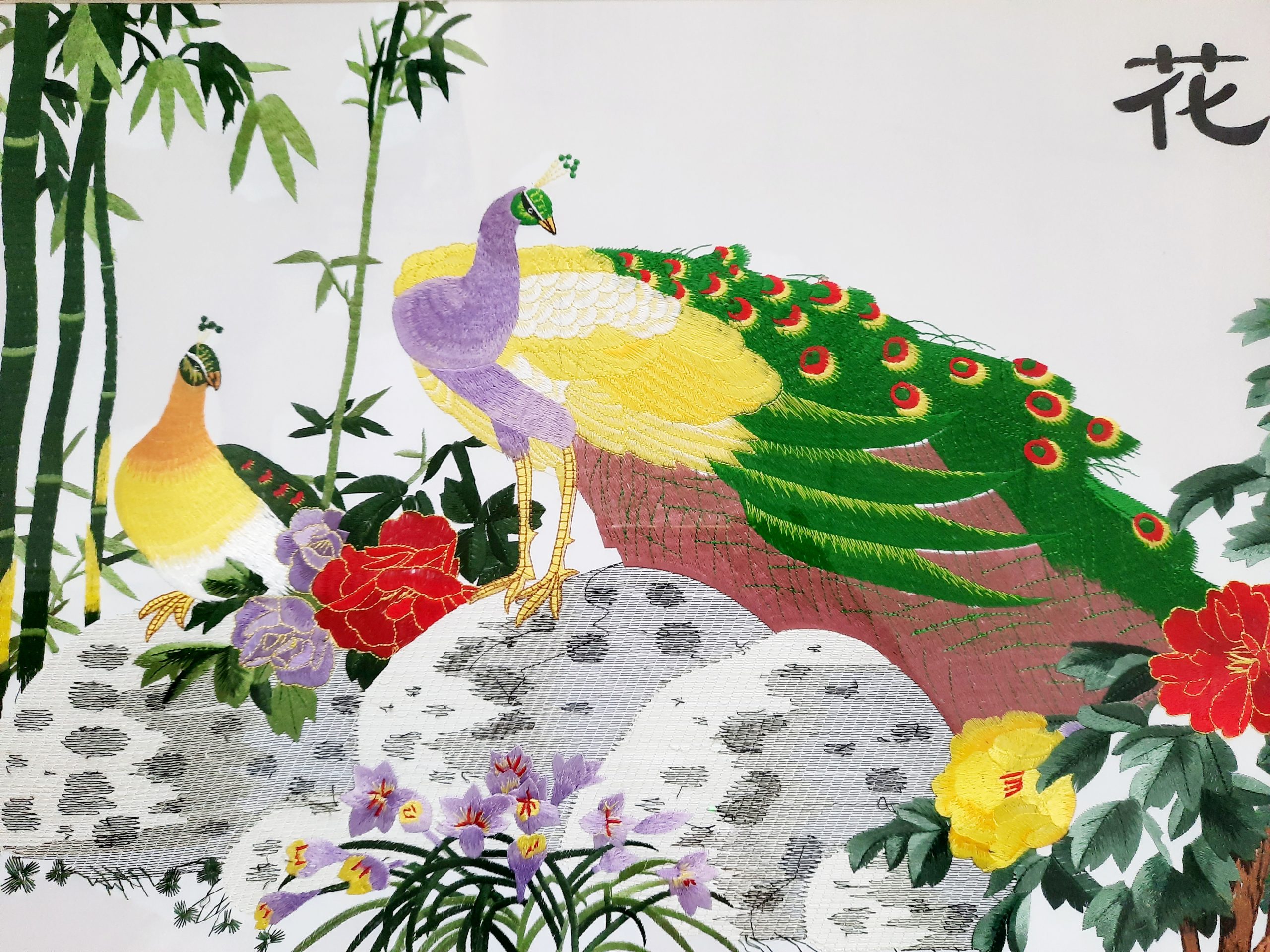 Peacocks and Flowers ???? - Image 3