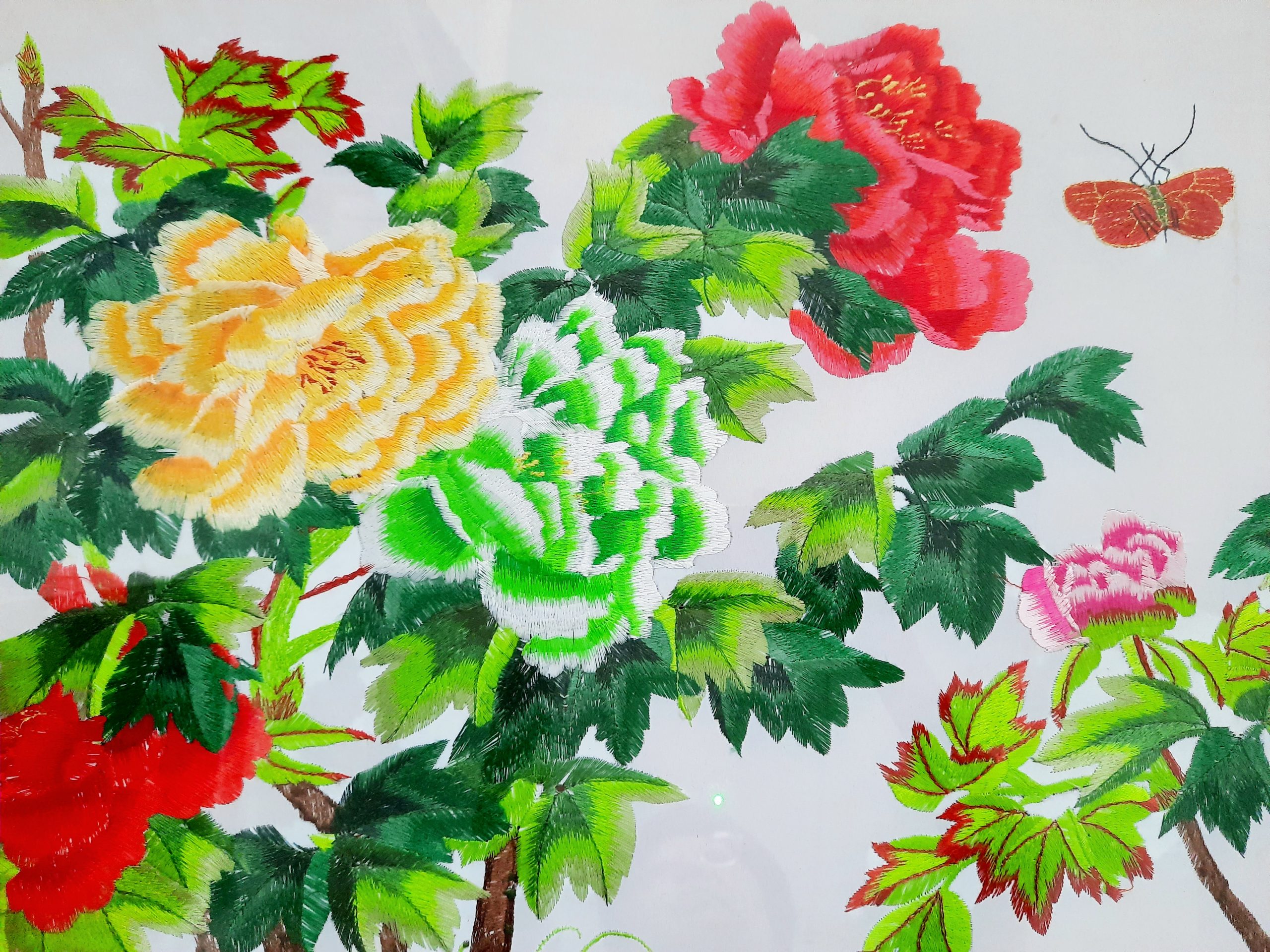 Blossom Flowers and Butterflies ???? - Image 3