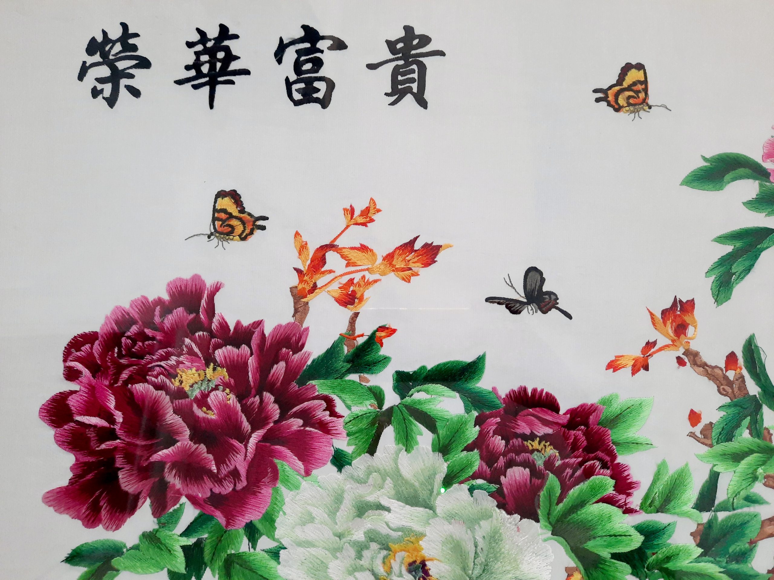 Blooming Flowers and Butterflies ???? - Image 2