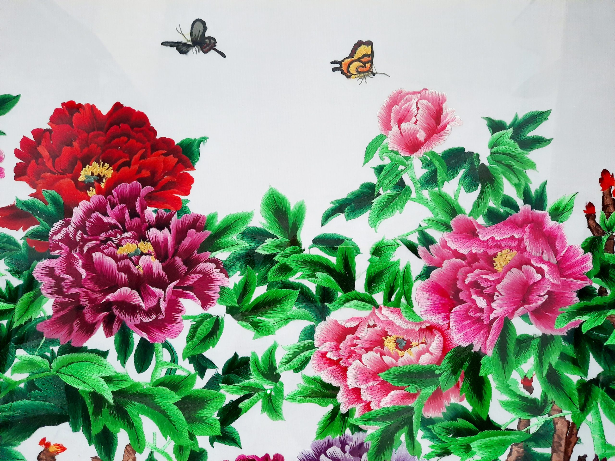 Blooming Flowers and Butterflies ???? - Image 3