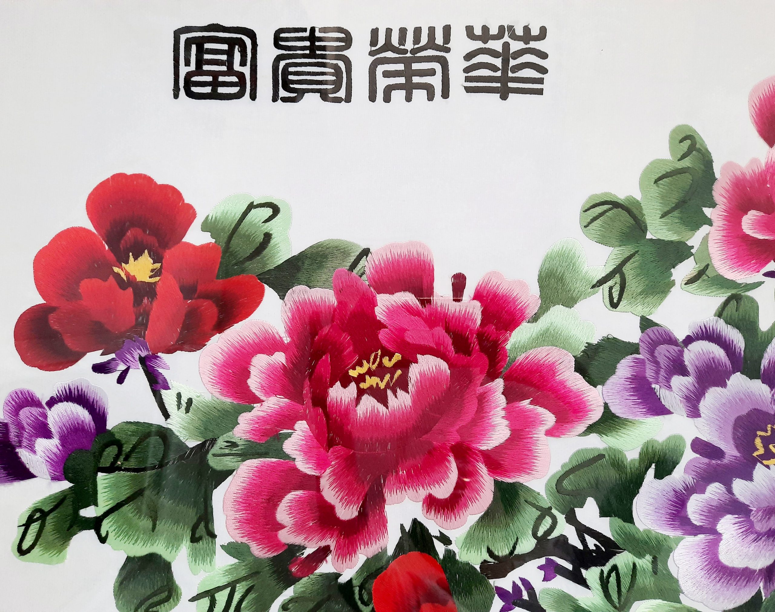 Blooming Peonies ????? - Image 2