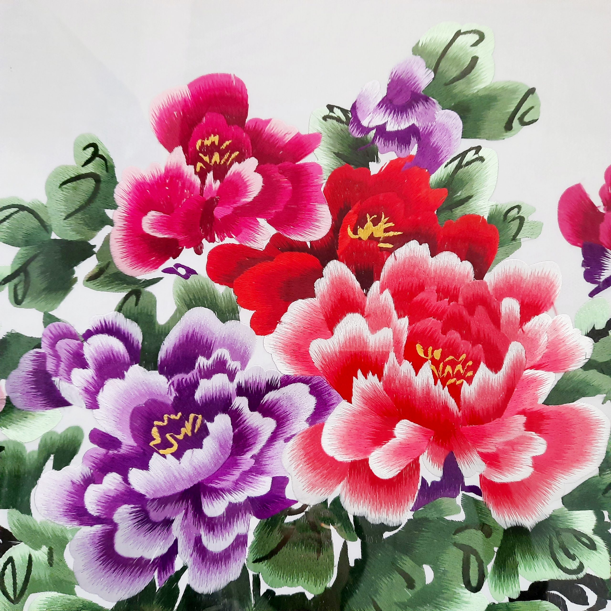 Blooming Peonies ????? - Image 3