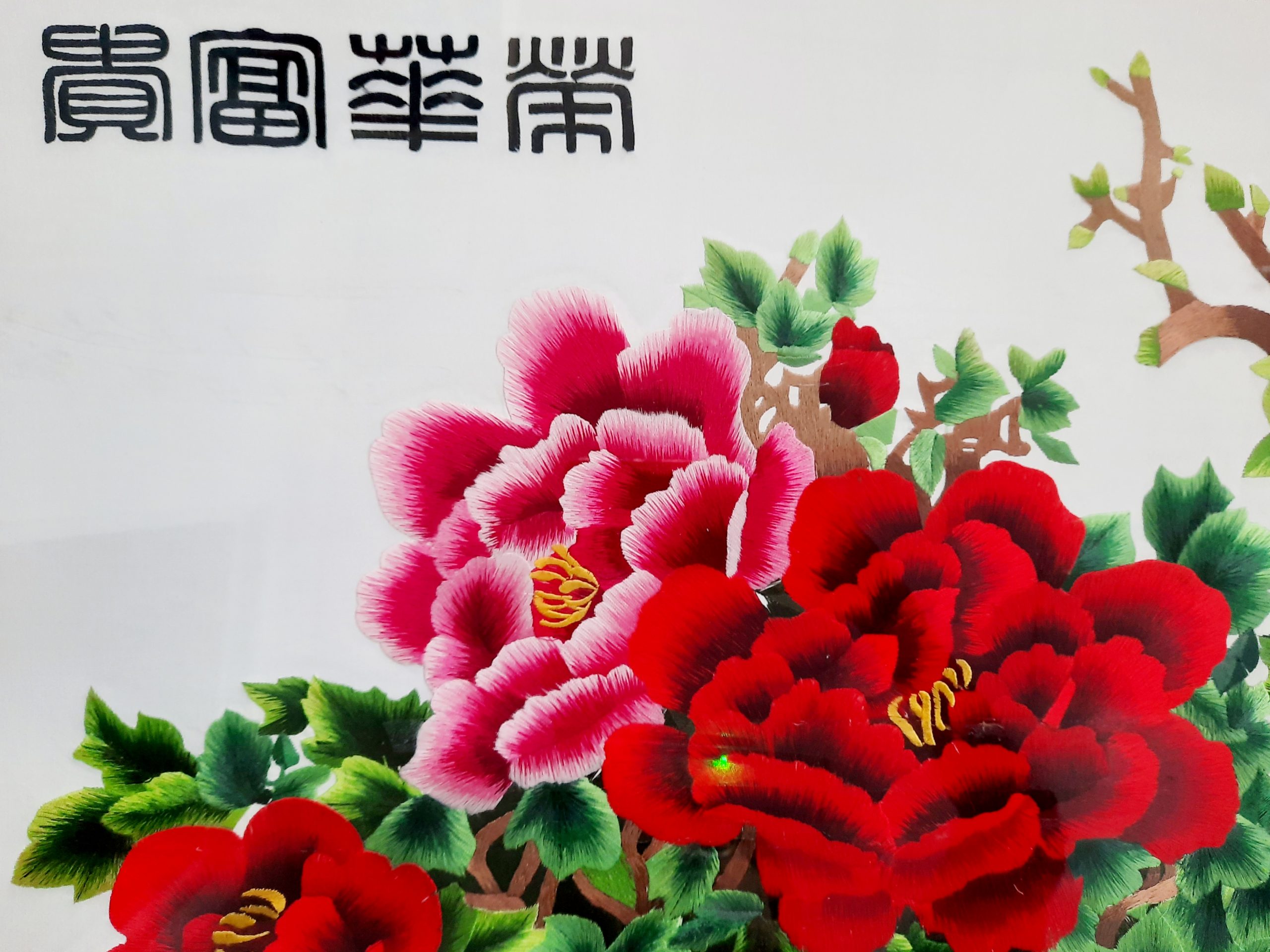 Blossom Peonies ???? - Image 2