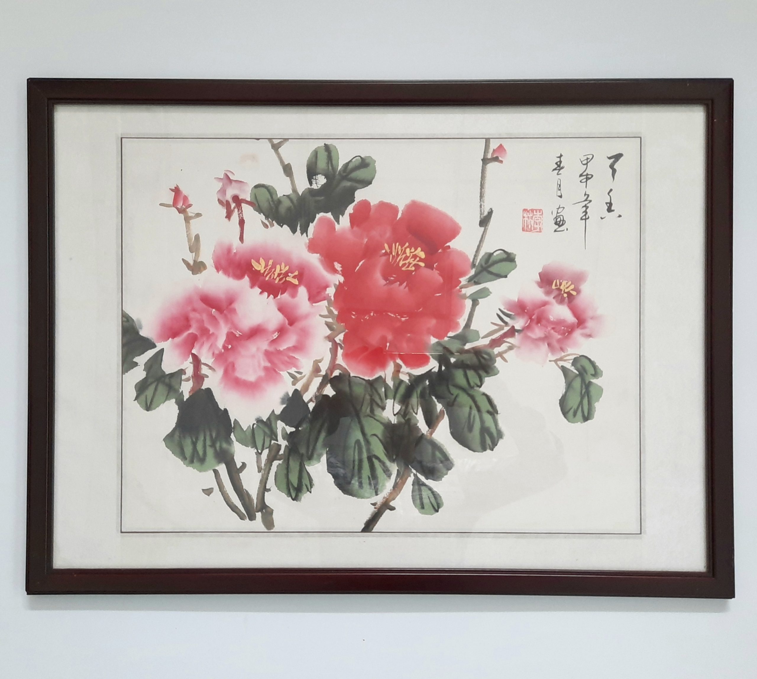 Blooming Peony