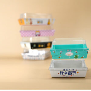 Cake and Sushi boxes